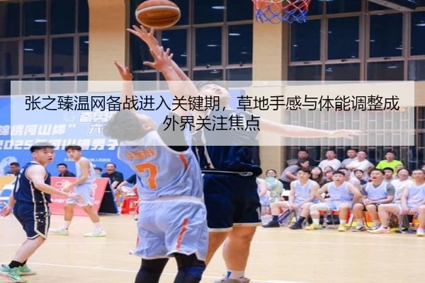 张之臻温网备战进入关键期，草地手感与体能调整成外界关注焦点
